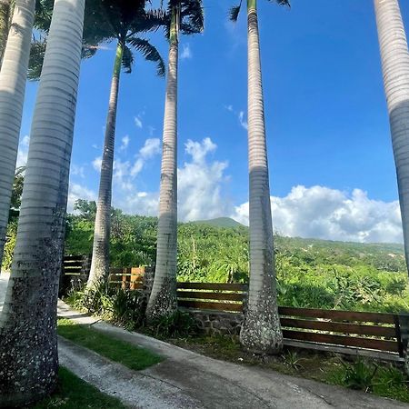 Grande Villa Au Calme - Vue Exceptionnelle - Climatisation - Piscine Sel Chauffee - Jardin Tropical Vincendo Bagian luar foto